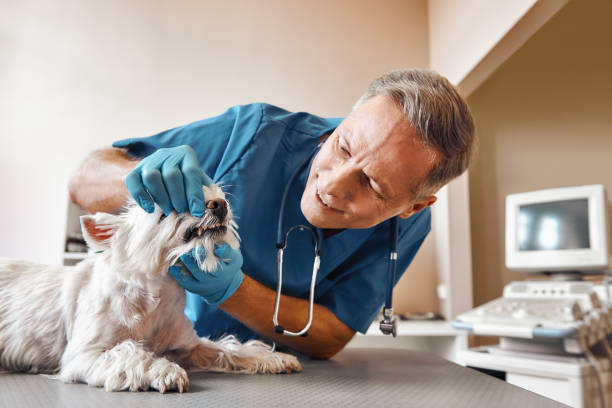 Best Emergency Root Canal Treatment in Reynoldsburg, OH